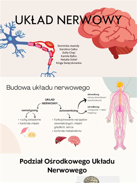 Infografika przedstawiająca skład chemiczny dopalaczy i ich szkodliwy wpływ na układ nerwowy człowieka