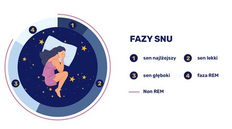 infografika przedstawiająca fazy snu i ich wpływ na koncentrację