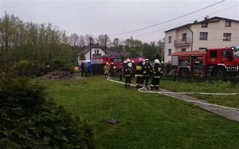 zdjęcie zniszczonej strzelnicy po pożarze