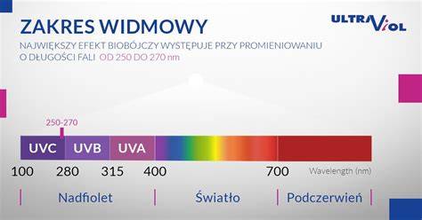 Schemat przedstawiający strukturę materiału lateksowego i odporność na promieniowanie UV