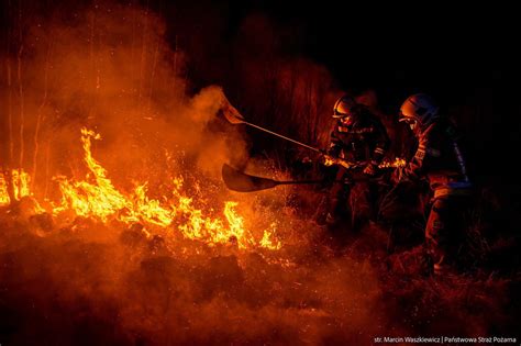 Ilustracja przedstawiająca strażaków w akcji ratowniczej