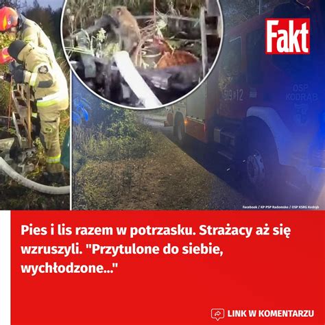 Strażacy prowadzący akcję ratunkową