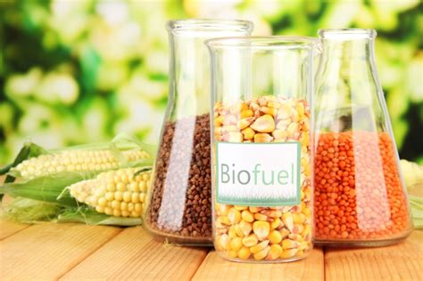zdjęcie z testów gaszenia biopaliw pianą