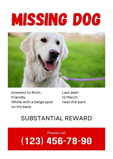 Stylized image of a missing dog and cat poster