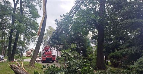 Infografika przedstawiająca rodzaje interwencji straży pożarnej w Rudzie Śląskiej w 2025 roku