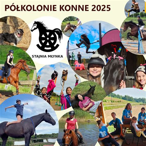 Zdjęcie uczestników i obserwatorów ćwiczeń z podziałem na grupy