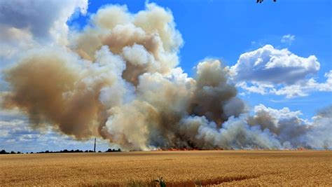 zdjęcie dymu unoszącego się nad polem zboża w Białaczowie