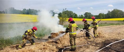 zdjęcie strażaków gaszących pożar suchej trawy w pobliżu zabudowań