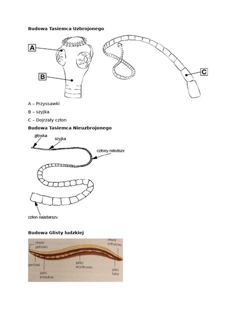 Schematyczny rysunek ERGOTRUCK z zaznaczonymi elementami ergonomicznymi i bezpieczeństwa.