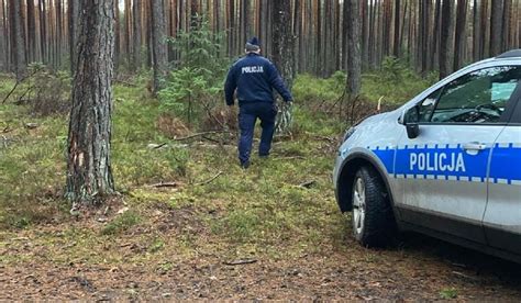 Zdjęcie z policyjnych poszukiwań w lesie z udziałem funkcjonariuszy i psów tropiących