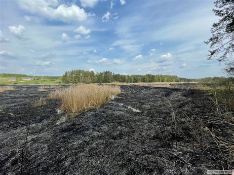 zdjęcie dogaszania pogorzeliska po opanowaniu pożaru