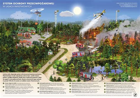 Infografika: System Ochrony Przeciwpożarowej Lasów