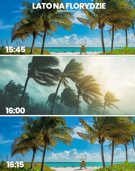 Infografika o suszy na Florydzie i ryzyku pożarów