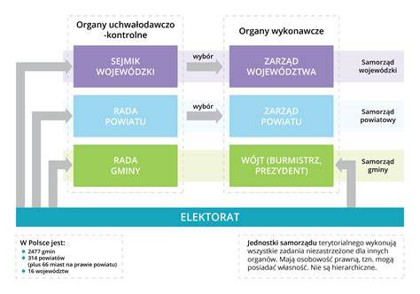 schemat przedstawiający strukturę władz OSP i wymogi wiekowe
