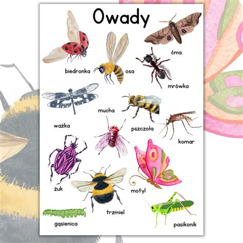 ilustracja przedstawiająca zagrożone zwierzęta (ptaki, owady, drobne kręgowce) na płonącej łące