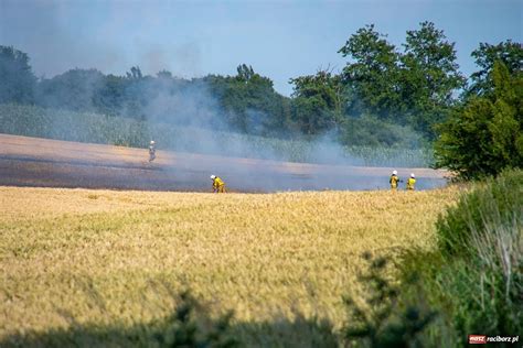 zdjęcie przedstawiające skutki silnego wiatru lub podtopień w powiecie myślenickim