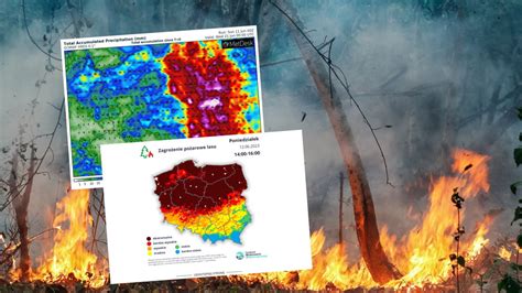 las objęty suszą, z wyraźnym zagrożeniem pożarowym