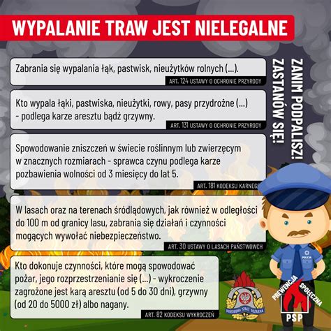 Infografika przedstawiająca zagrożenia wynikające z pożarów traw