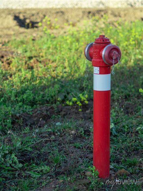 Czerwony hydrant nadziemny umieszczony przy drodze, łatwo widoczny