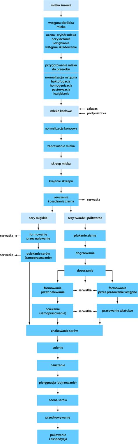 Schemat etapów zamówienia i produkcji wozu strażackiego