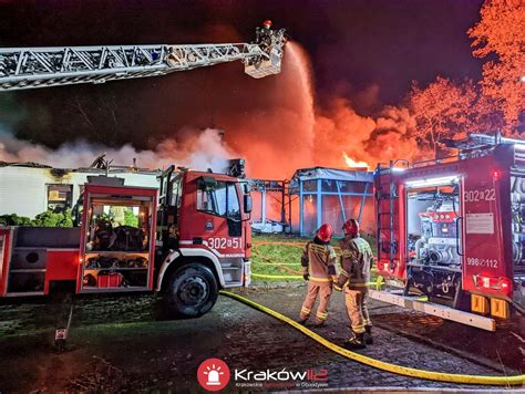zdjęcie przedstawiające strażaków walczących z pożarem lasu, z samolotem gaśniczym w tle