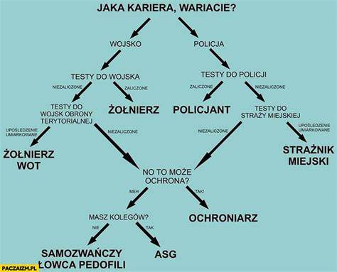 infografika przedstawiająca ścieżkę kariery w ochronie przeciwpożarowej z wyróżnieniem roli inspektora