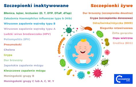 infografika przedstawiająca różne rodzaje szczepionek i możliwość ich jednoczesnego podawania