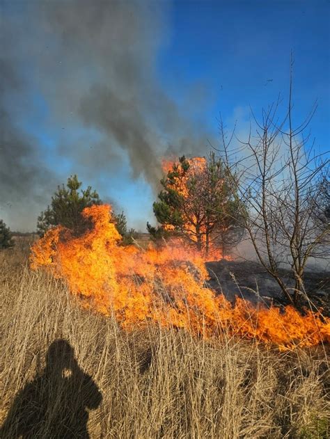 pożar traw i suchych nieużytków, krajobraz z dymem