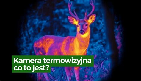 Obraz z kamery termowizyjnej pokazujący rozkład temperatur podczas akcji gaśniczej.