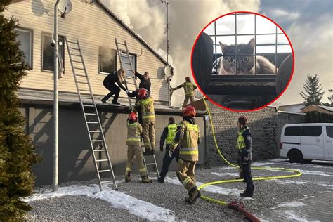 Policjanci zabezpieczają teren wokół płonącego budynku