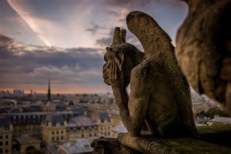 Gargulce Katedry Notre-Dame