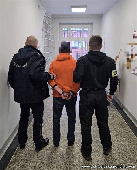 Policja w Radomiu zatrzymuje podejrzanego o podpalenia