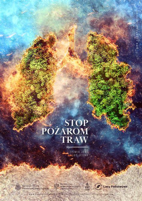 Infografika ukazująca skutki wypalania traw (zniszczenie flory, fauny, gleby)