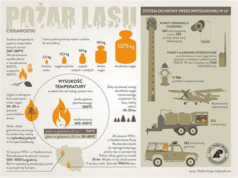 Infografika lub zdjęcie przedstawiające pożar biomasy/zrębki drewna w zakładzie produkcyjnym