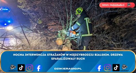 Strażacy OSP ratujący zwierzęta podczas interwencji