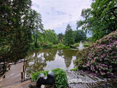 Zdjęcie aut parkujących na trawniku w pobliżu Ogrodu Botanicznego lub parku