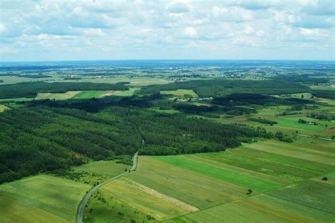 Zdjęcie ukazujące krajobraz po pożarze pola - spalone obszary