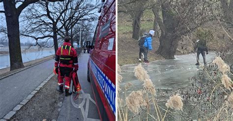 Manewry ratunkowe na rzece, ratownicy i strażacy poszukujący poszkodowanych