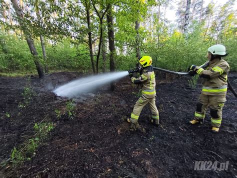 Zdjęcie strażaków gaszących płonące nieużytki na polu