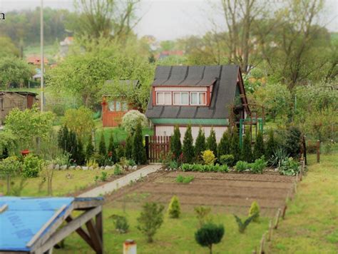 zdjęcie płonącej altany na ogródkach działkowych