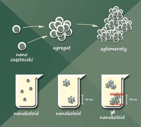 Infografika: Budowa nanocząsteczki srebra i jej interakcja z komórką bakteryjną