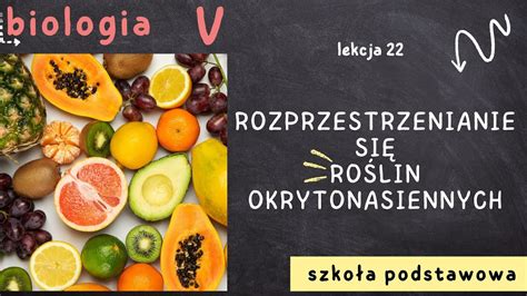 Rysunek 1: Infografika przedstawiająca rozprzestrzenianie się ognia w ciężarówce MAN D26