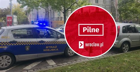 Zdjęcie strażnika Ekopatrolu podczas interwencji z wężem egzotycznym