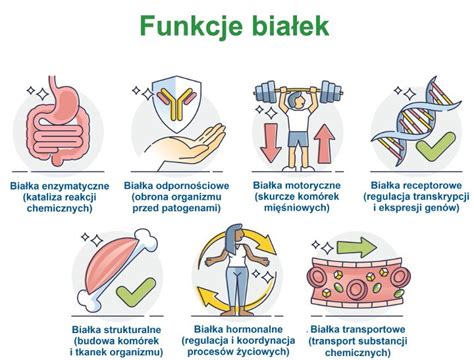 Infografika prezentująca budowę i funkcje wielofunkcyjnego narzędzia Gorgui