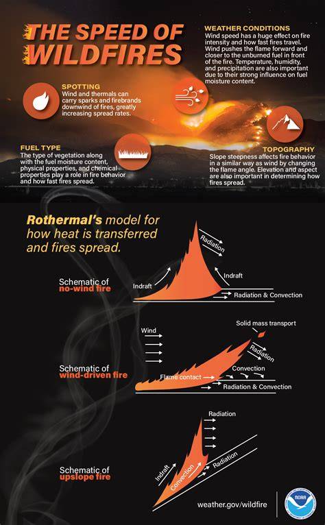 Infographics on the dangers and speed of grass fires