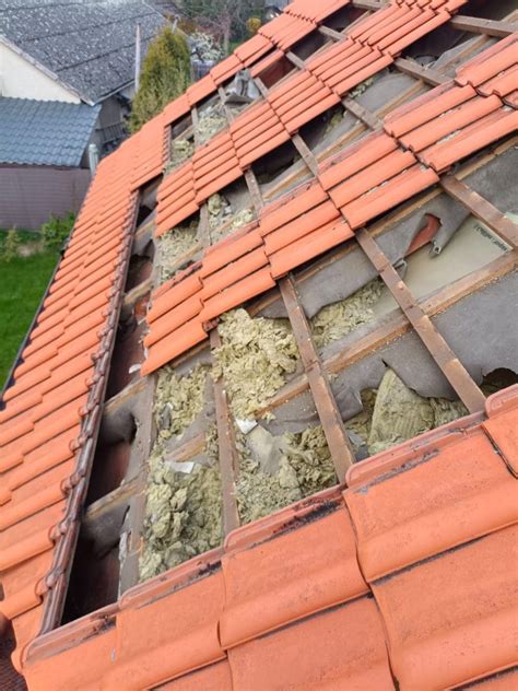 spalony kurnik zniszczony pożarem, widoczne zgliszcza dachu i ścian