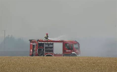 Zdjęcie strażaków gaszących pożar zboża na polu, dym unoszący się nad polami