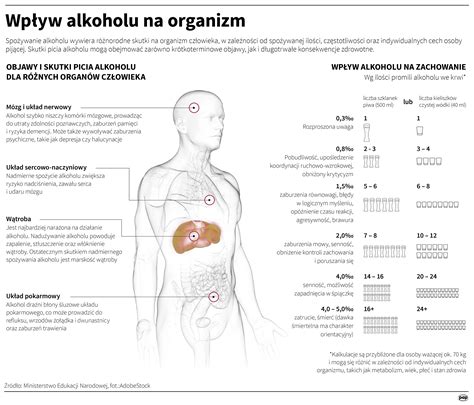 infografika przedstawiająca wpływ alkoholu na rodzinę
