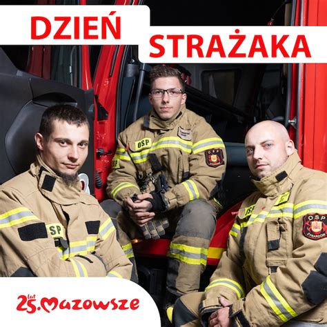 Infografika przedstawiająca głównych bohaterów Strażaka Sama