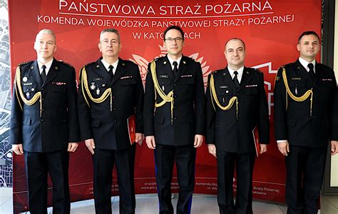 Schemat ścieżek kariery w Państwowej Straży Pożarnej, ilustrujący służbę przygotowawczą i kandydacką.